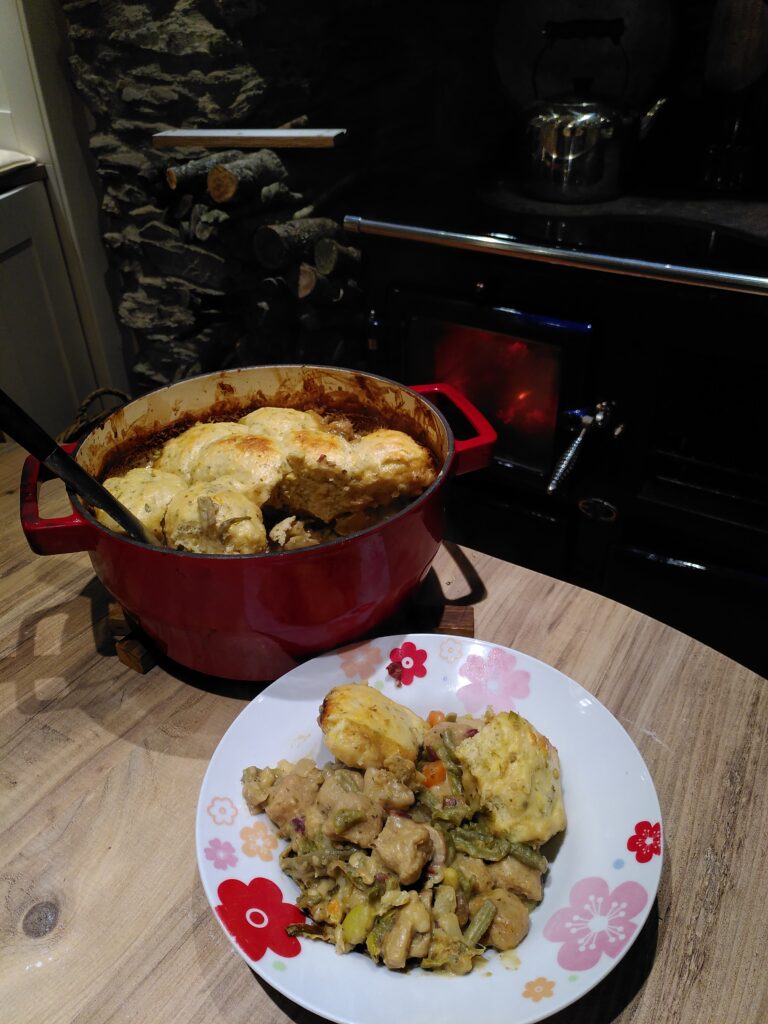 A pot of warming winter stew and dumplings, alongside a serving of the stew in a bowl. The pot and bowl are displayed in front of a range cooker with the fire going.