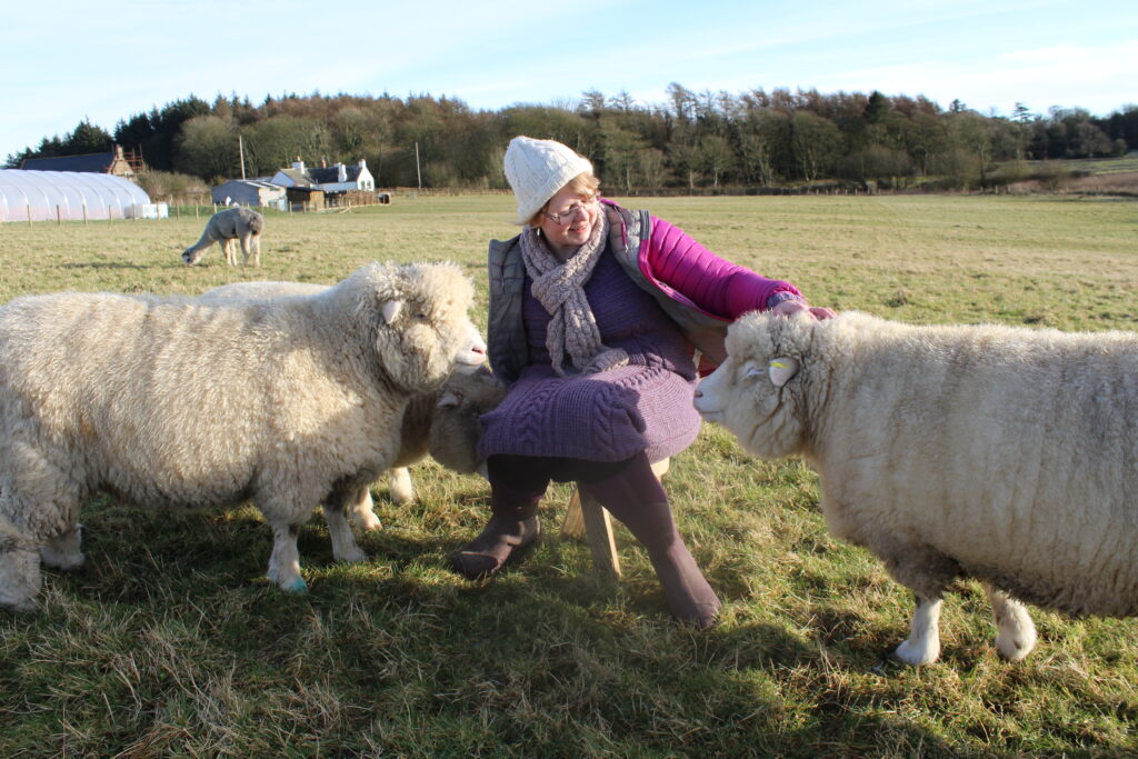 A woman sitting on a stool in a green field on a sunny Winter's day. She is surrounded by three sheep. The sheep are enjoying a cuddle and head rub.