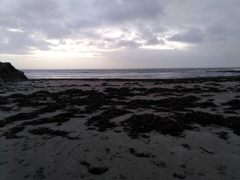 An empty beach on a Winter's day