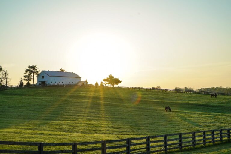 The sun is rising over a farmhouse and homestead