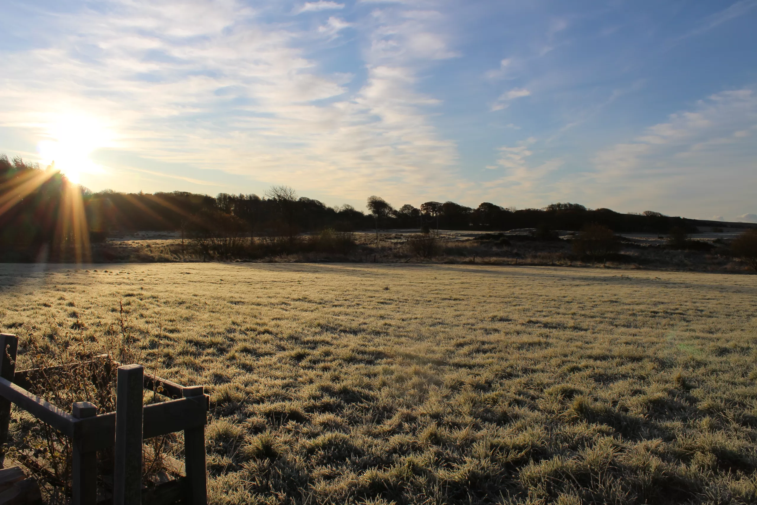 View across the open field of a smallholding on a crisp Winter's morning. There is frost on the grass and fluffy white clouds in an otherwise bright blue sky.