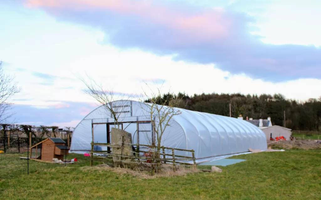 A large polytunnel in a field