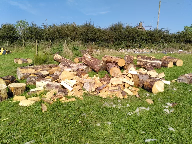 Large pile of wood rounds, to be split and stored for burning