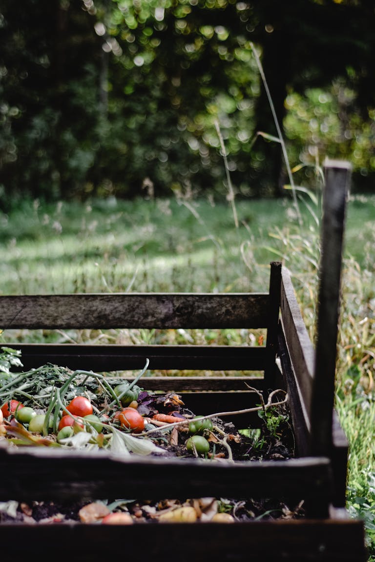 compost bay full of organic waste