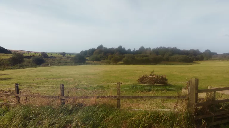 The unspoiled view across the green field of a smallholding.