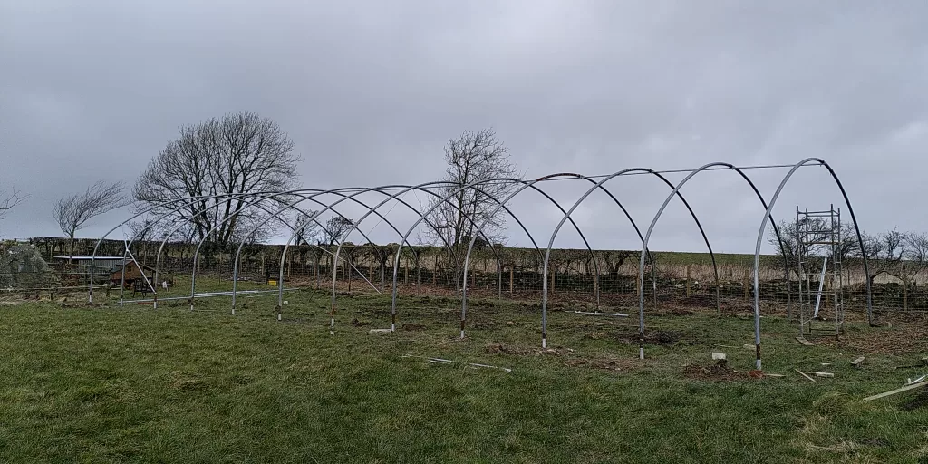 The frame of a polytunnel in progress. Set within a green field on an overcast day.