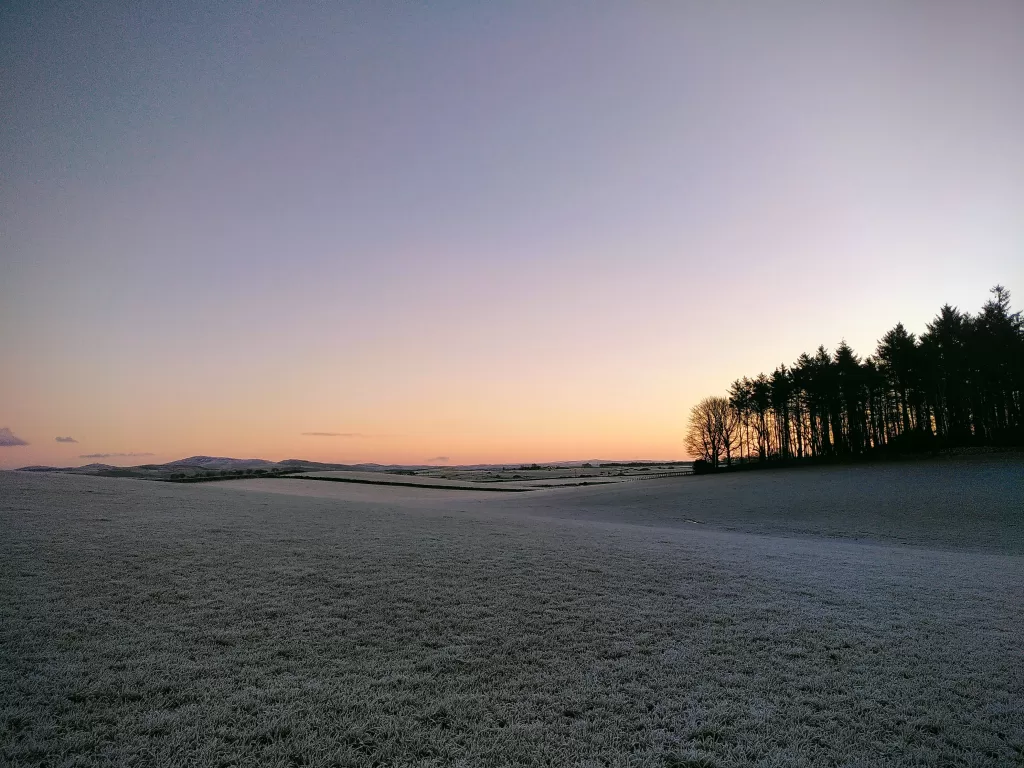 View across a smallholding at dawn on a January morning. There is a hard frost on the grass. The trees are silhouetted with the rising sun behind them.