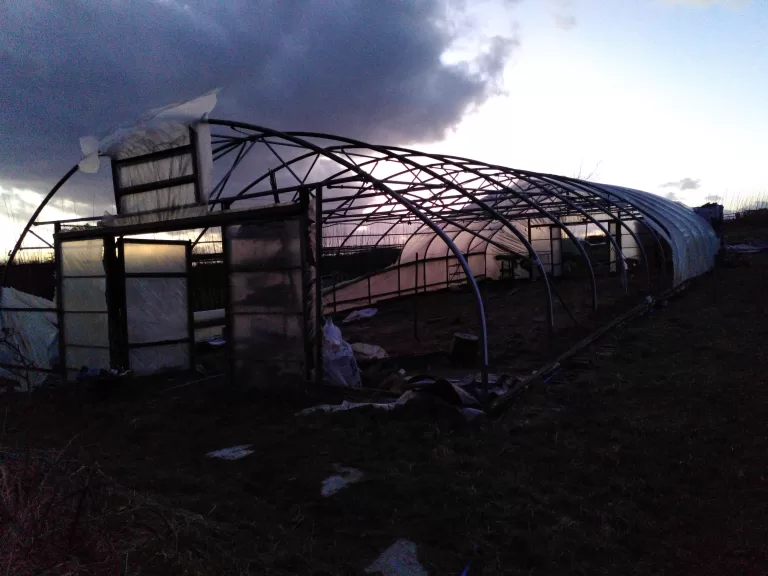 A polytunnel frame which has lost its plastic skin during a storm.