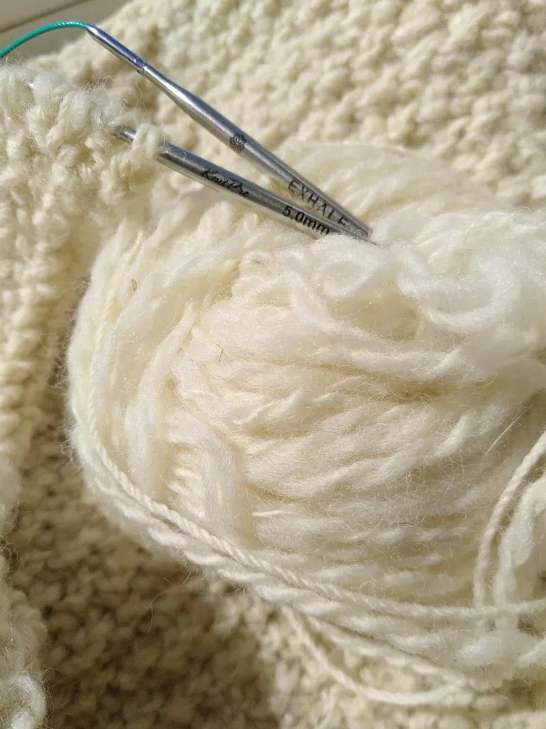 A close up of the 5mm needles from the KnitPro Believe interchangeable circular knitting needles set. The needles are inserted into a ball of cream, homespun yarn.